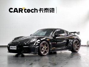 Porsche Cayman 2020