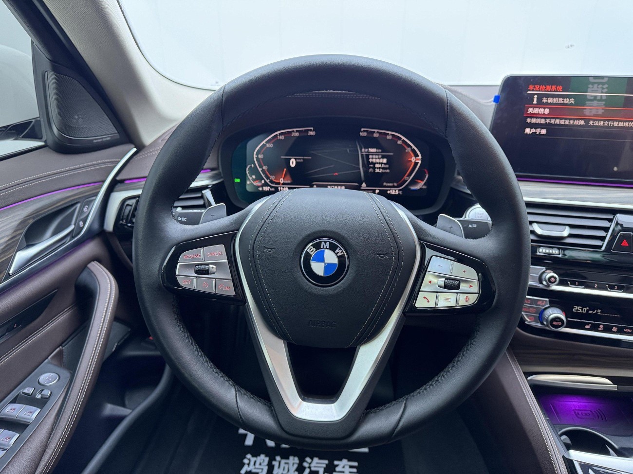 BMW 530Li 2018