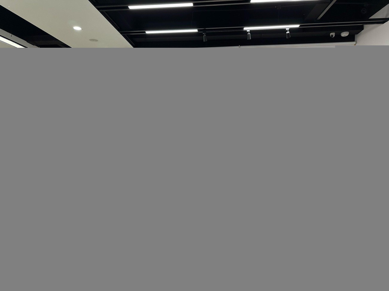 Porsche Panamera 2020