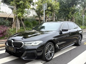 BMW 530Li 2021