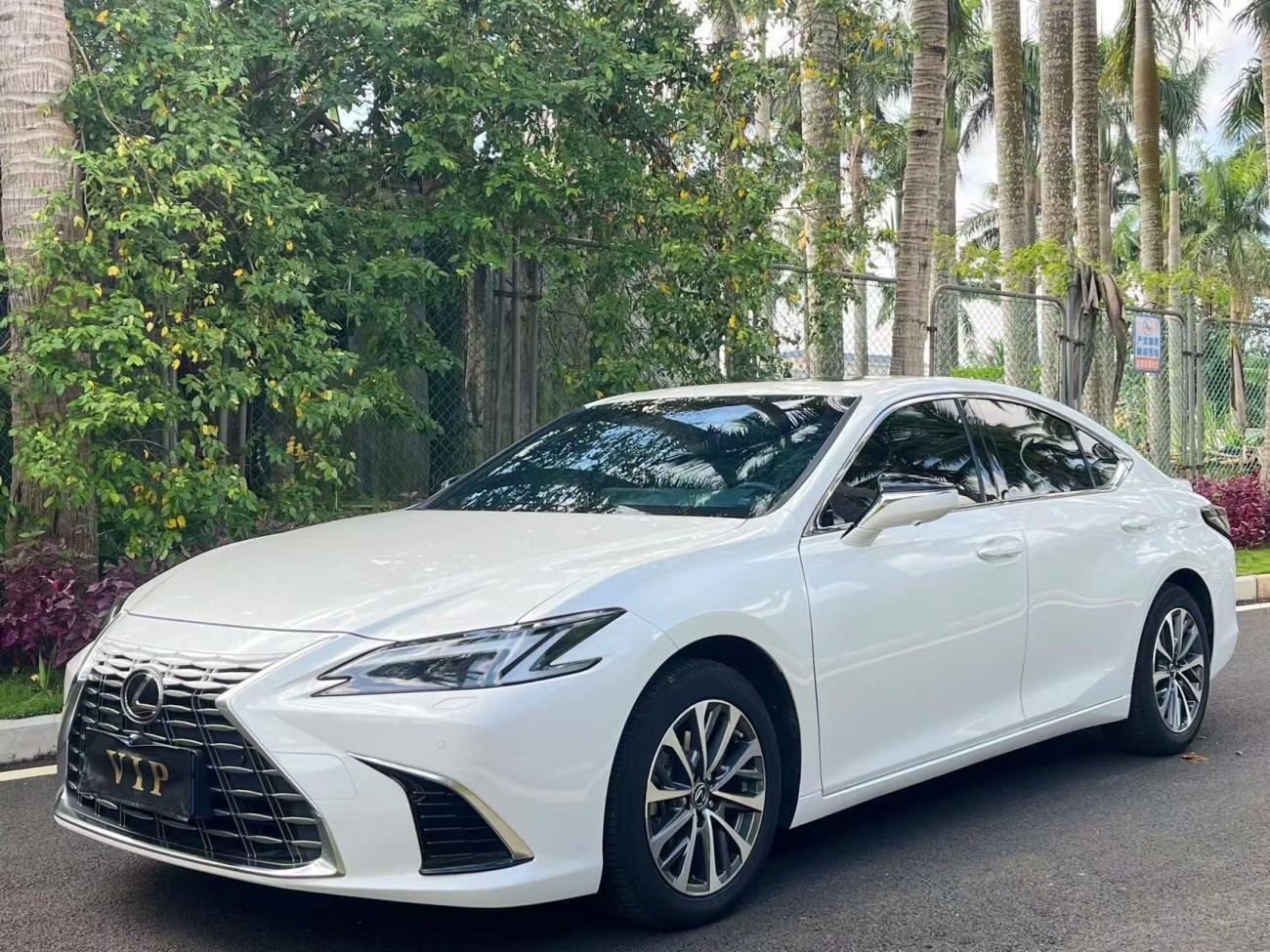 Lexus ES 300h 2025