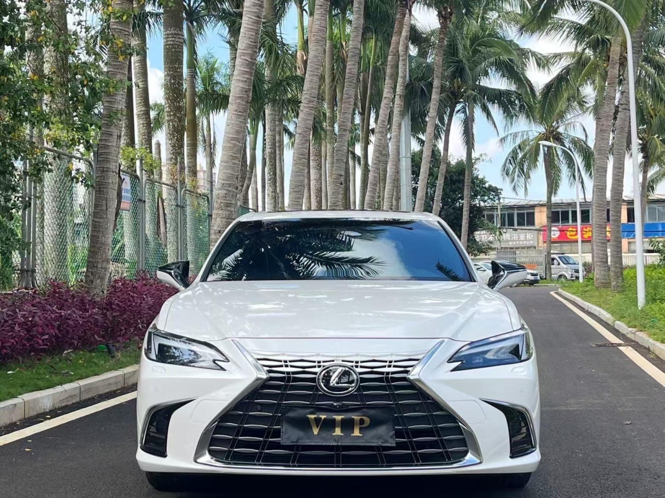 Lexus ES 300h 2025