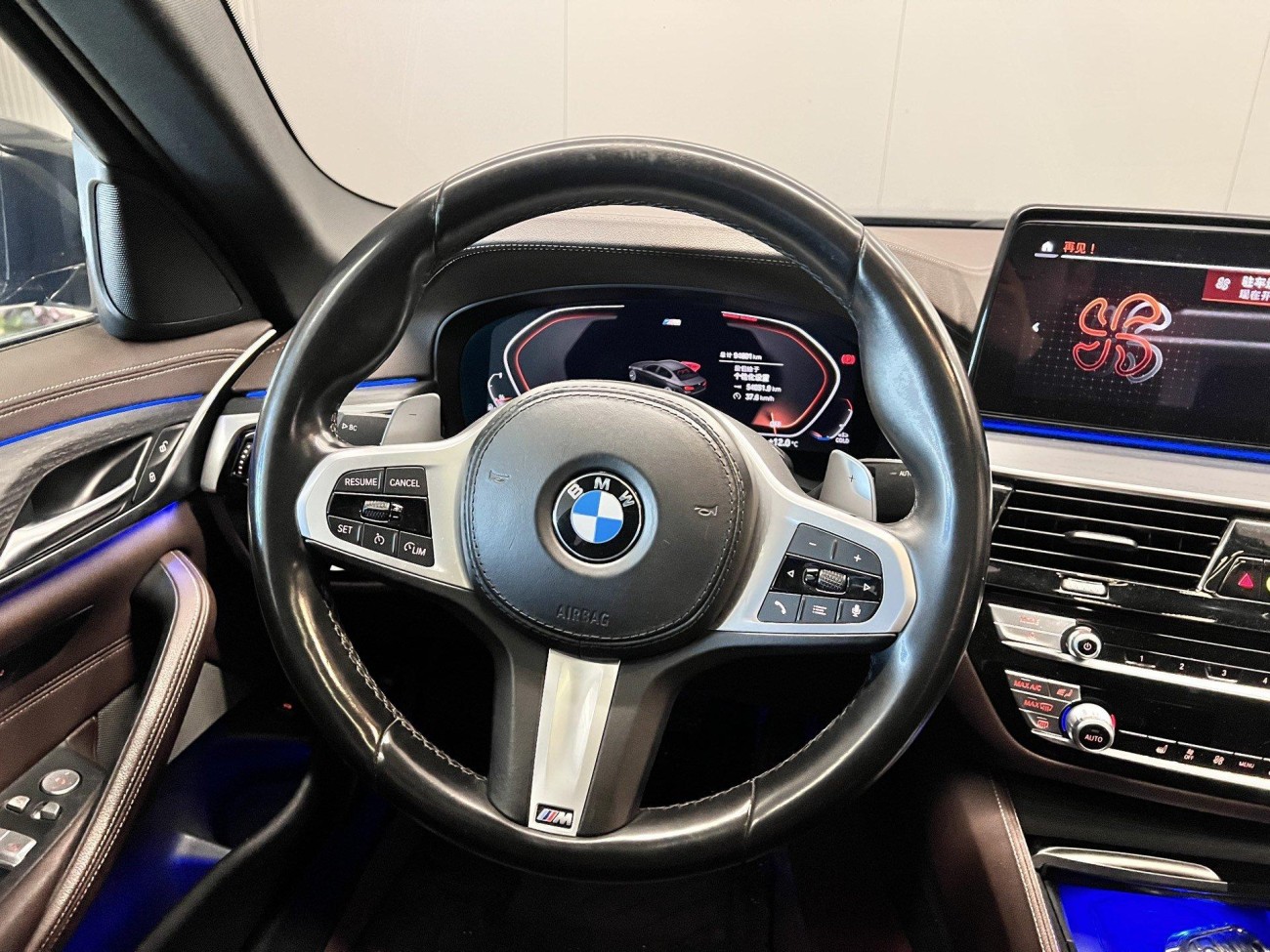 BMW 530Li 2021