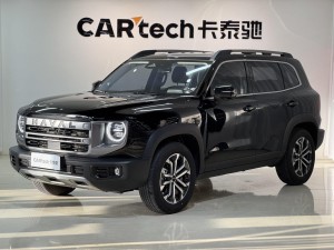Haval Big Dog 2024
