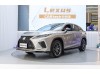 Lexus RX 300 2022