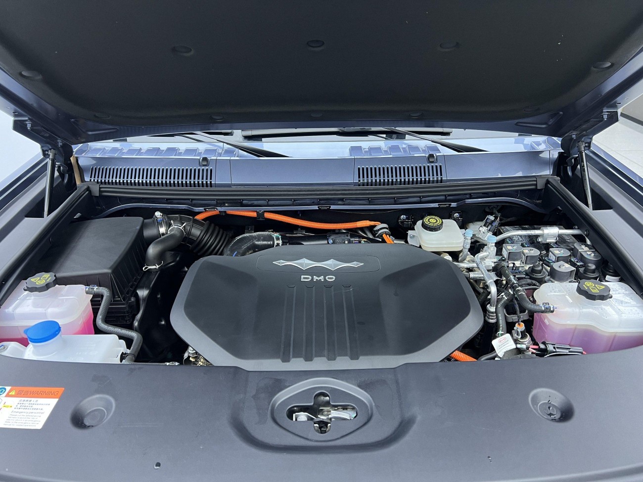 Fang Cheng Bao Bao 5 2024