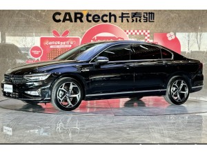 Volkswagen Magotan 2024