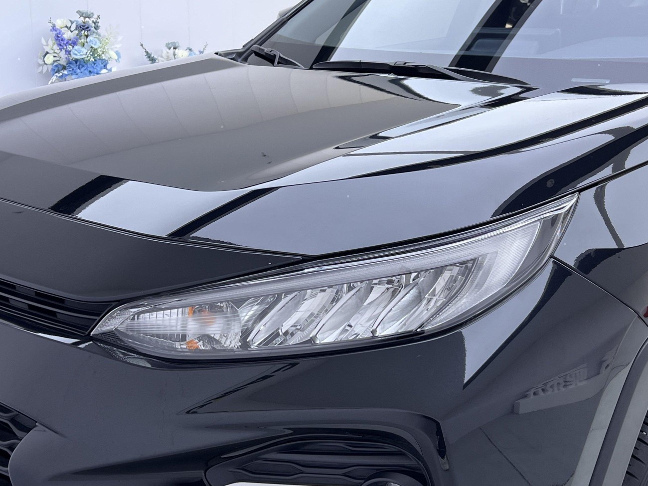 Toyota Wildlander 2023