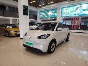 Wuling 2024 2025