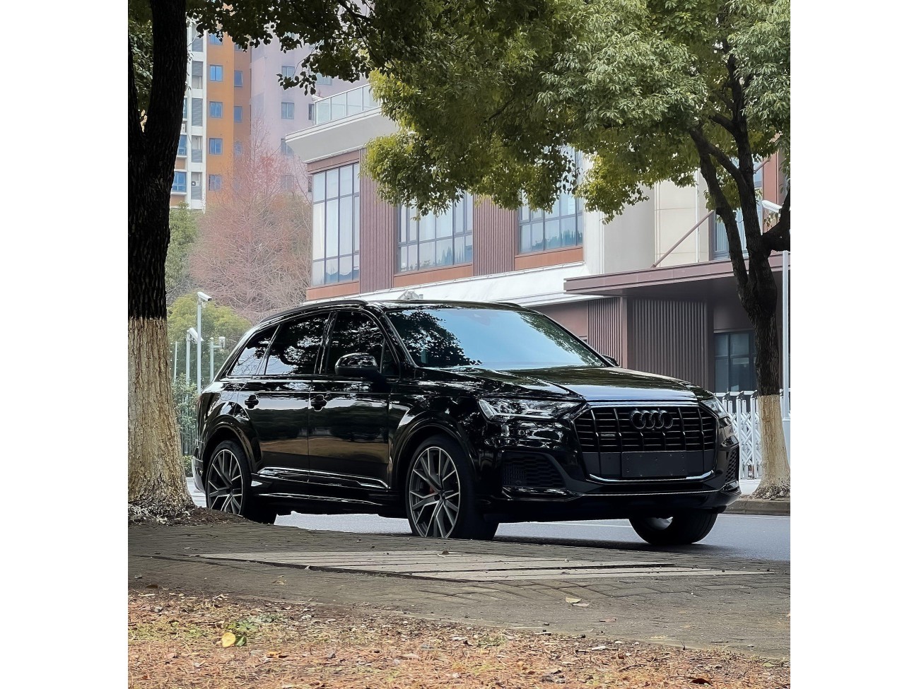 Audi Q7 55 TFSI 2023