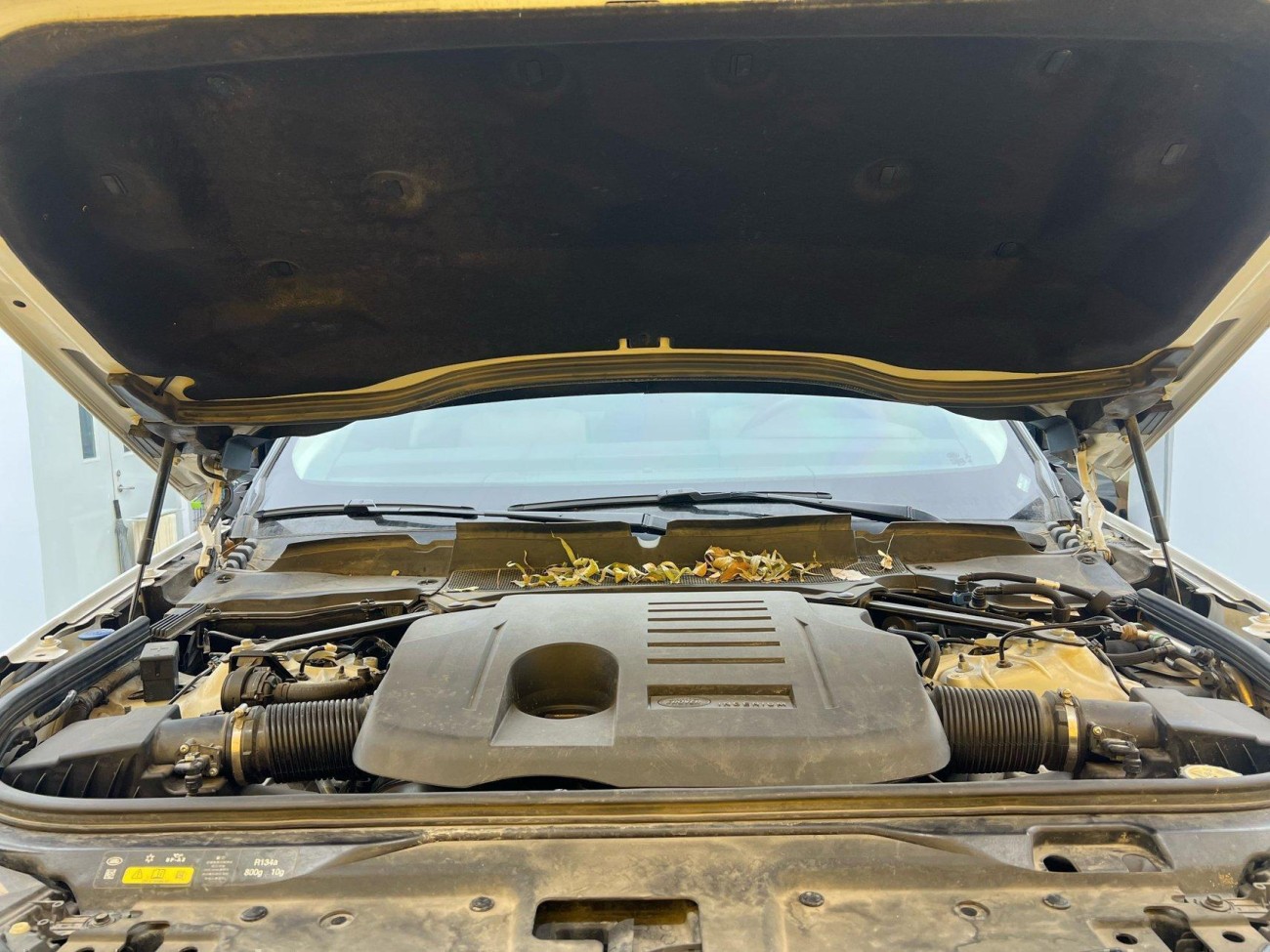 Land Rover Discovery 2022