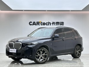 BMW X5 2024