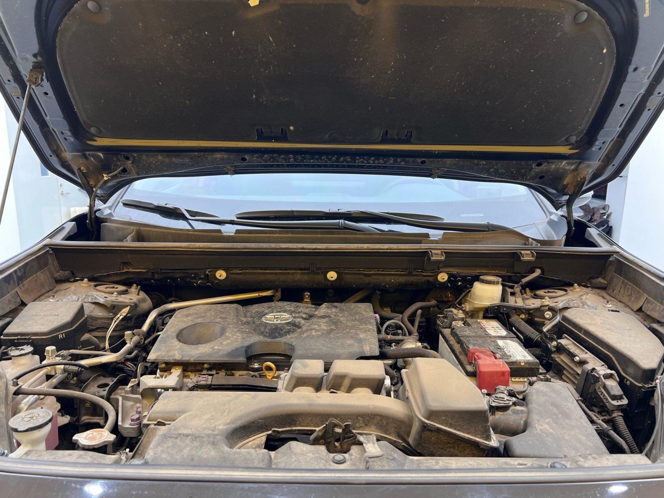 Toyota Wildlander 2024