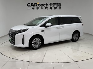 BYD 2025 2025