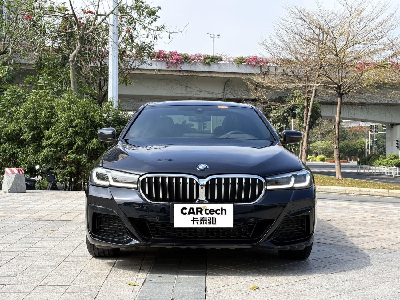 BMW 530Li 2021