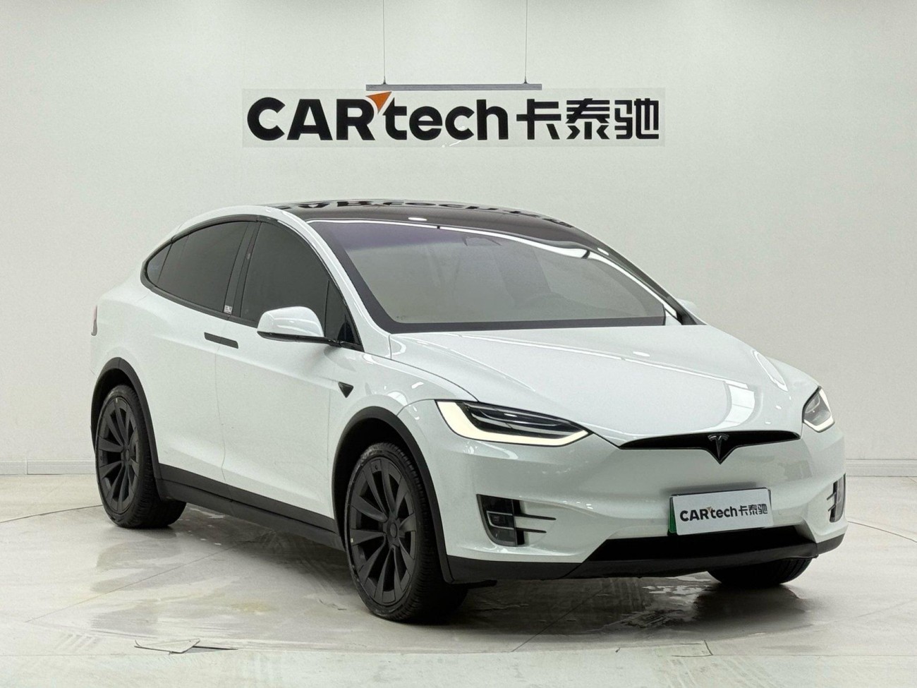 Tesla Model X 2019