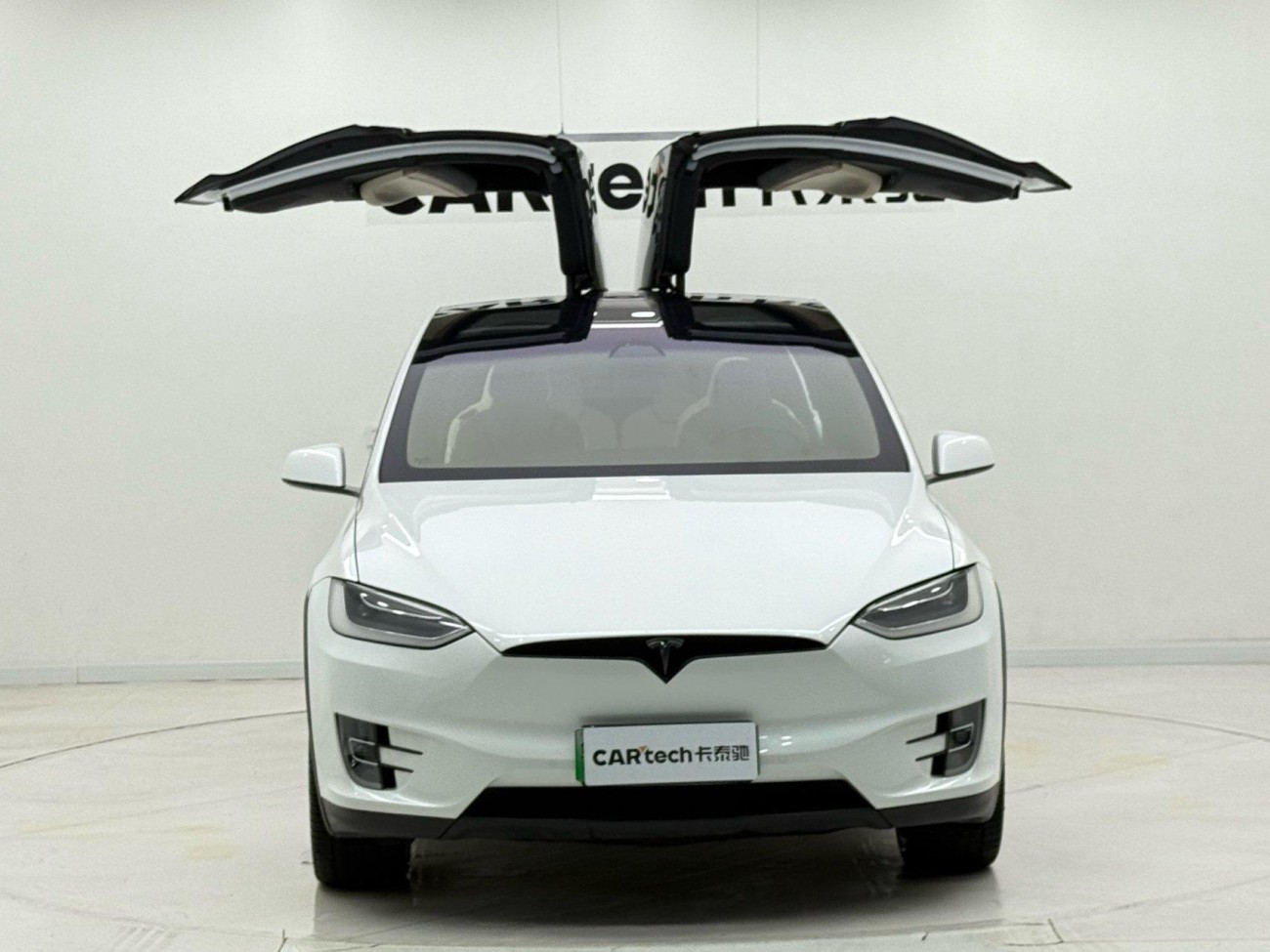 Tesla Model X 2019