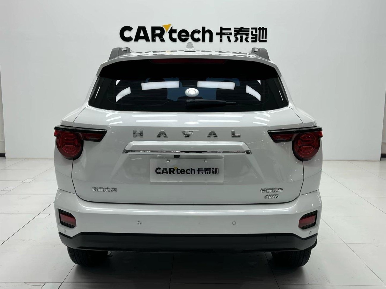 Haval Big Dog 2024