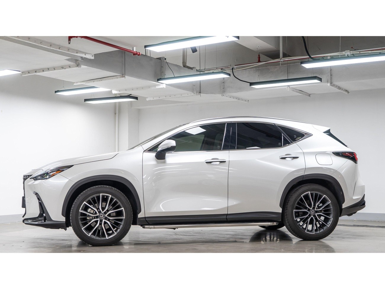 Lexus NX 260 2023