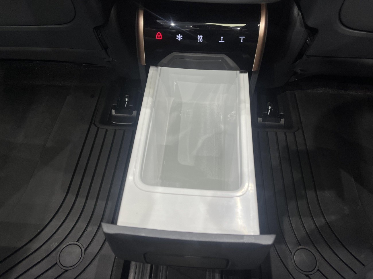 Dongfeng eπ008 2024