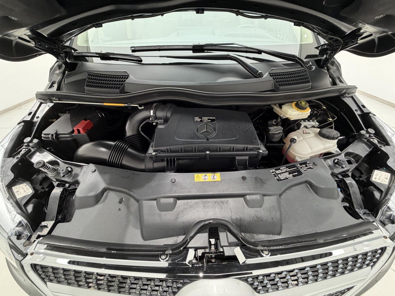 Mercedes-Benz 2021 2022