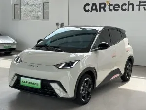 BYD Seagull 2024